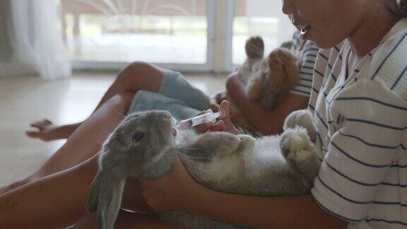 两个亚洲女孩在客厅里一起给他们的宠物兔子喂药液