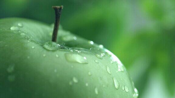 极端特写的水滴在苹果在慢动作