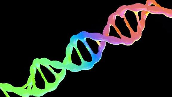 黑色背景上的DNA分子动画3d渲染生物技术、生物化学、遗传学和医学概念DNA链
