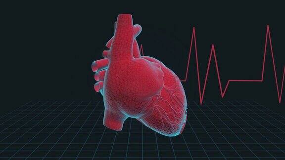 心脏感染疾病心跳-4K循环医学背景