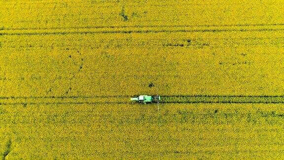 拖拉机在田间喷洒油菜籽