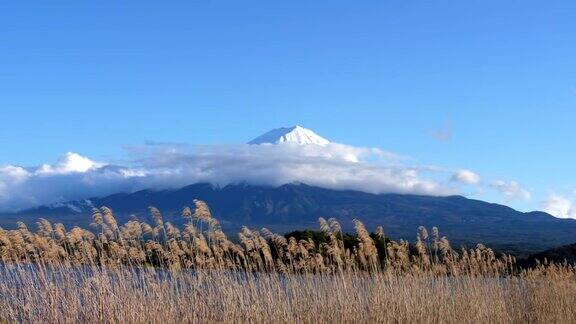 秋天的富士山川口湖