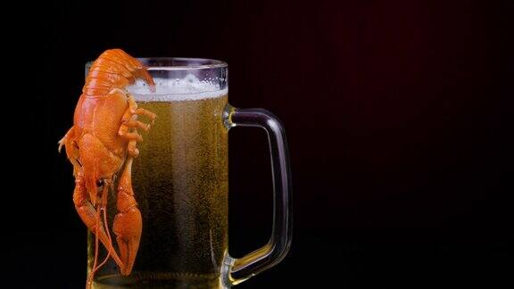 啤酒杯上的煮红小龙虾在黑色背景上旋转的小龙虾特写