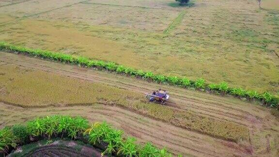航拍图拖拉机在收获的田地在泰国