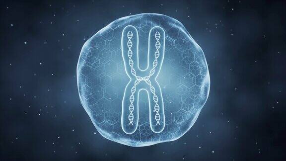 有机球内染色体3d渲染