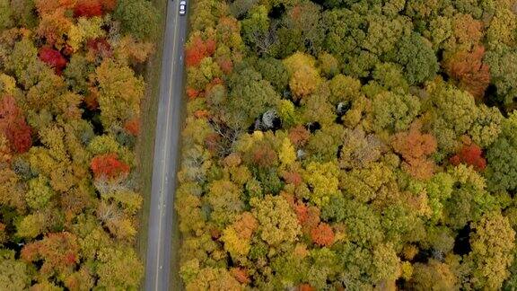 秋天的蓝岭公园大道