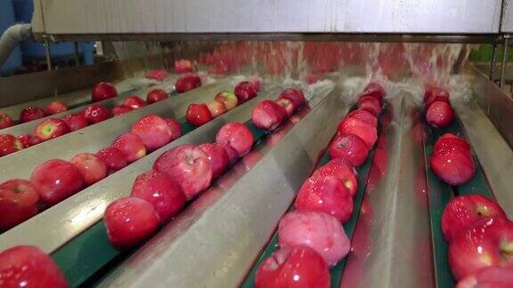 新鲜苹果在传送带上慢速清洗
