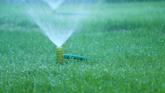 平移拍摄的自动花园草坪洒水器在行动浇草