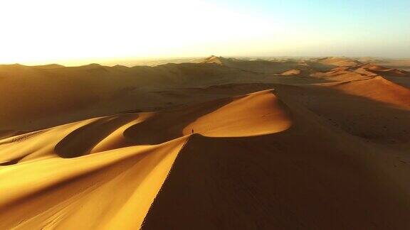 徘徊在沙漠的沙中
