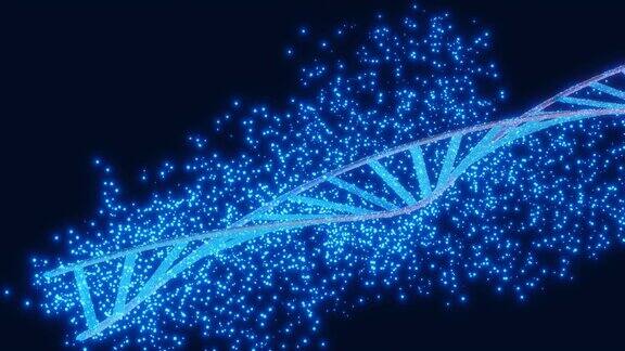 DNA遗传人类密码概念螺旋双螺旋形状鸟嘌呤、腺嘌呤、胞嘧啶、胸腺嘧啶用碱基对搭成梯子三维计算机图形动画