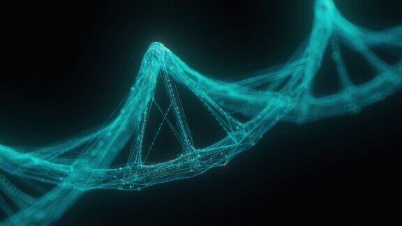 创造性的多边形人类DNA螺旋黑色背景生物学和基因概念3D渲染
