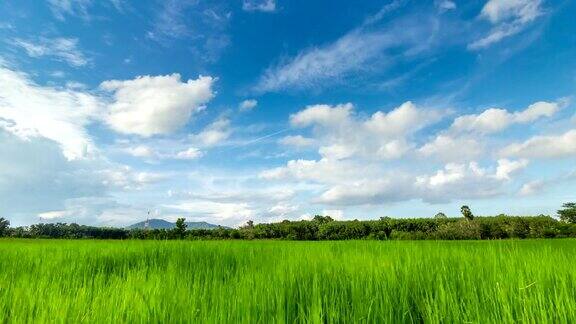 泰国宋克拉稻田上空掠过的云和天空