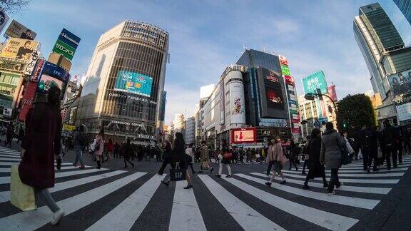 4K时间的推移日本东京涩谷地区的日本和外国游客在晚上走过人行横道日本文化概念