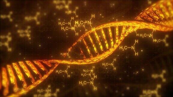三维现代医学Dna旋转动画背景高科技Si-fi分子人类Dna动画未来背景遗传数字Dna双螺旋旋转医学科学动画背景