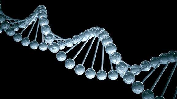 DNA模型-循环动画
