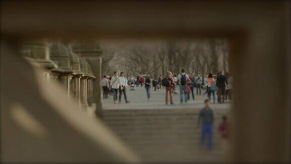 人们在纽约中央公园散步