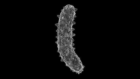 3D细菌病毒在黑色背景上旋转由闪闪发光的微粒构成的物体健康医学概念用于标题文本演示3d动画60FPS
