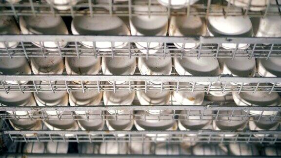 特写的格子金属容器装满了新鲜的白色鸡蛋