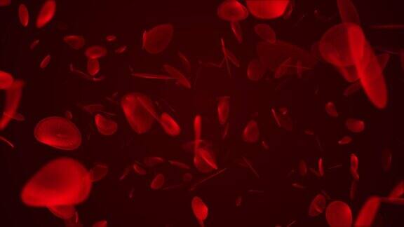 人体红细胞动画红细胞在红色背景上运动的循环动画红细胞在人体内的飞行科学与医学概念背景