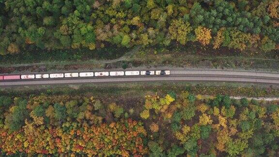 货运列车在美丽的秋季森林中穿行的鸟瞰图