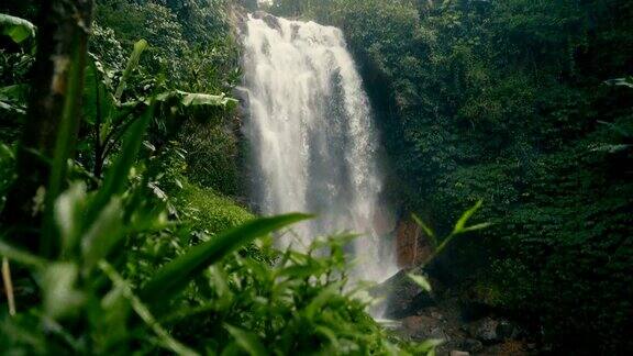 热带雨林瀑布美景