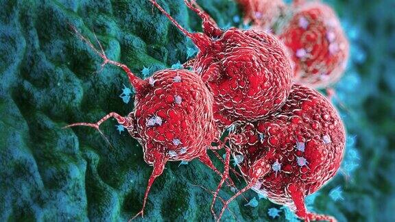 癌症细胞