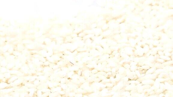 阿博里奥水稻在白色的背景下从顶部和填充框架