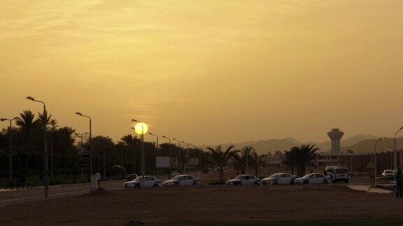 日落的街道上生长着棕榈树大的太阳
