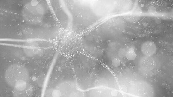 神经元细胞旋转背景概念科学动画