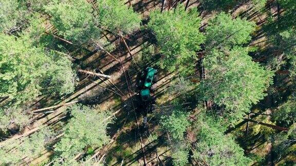 拖拉机在森林里工作砍伐树木环境问题砍伐森林伐木