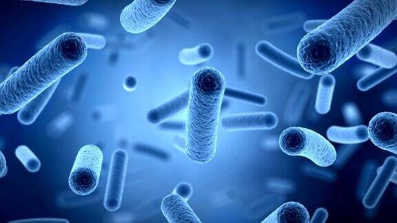 漂浮细菌微观3d动画
