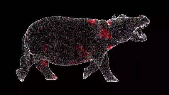 病毒通过黑底单色动物河马旋转三维体传播病毒在体内的可视化演示教程视频医学概念60FPS3D动画
