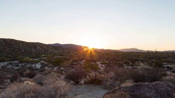 沙漠日落约书亚树国家公园加利福尼亚