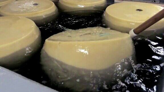 帕尔马干酪在盐水中旋转成熟帕尔马干酪在盐水中成熟