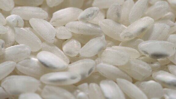 白色的米饭水稻生粒轮作
