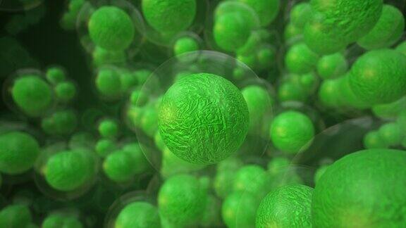 胚胎干细胞医学概念