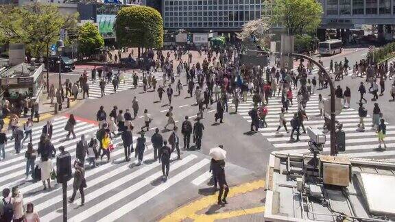 涩谷穿越日本东京