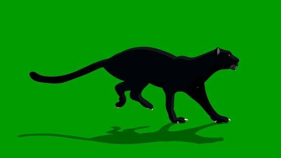 黑豹动物奔跑循环动画