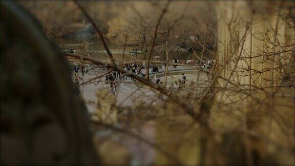 人们透过树木在纽约中央公园放松
