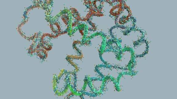 氨基酸链或生物分子称为蛋白质-三维插图