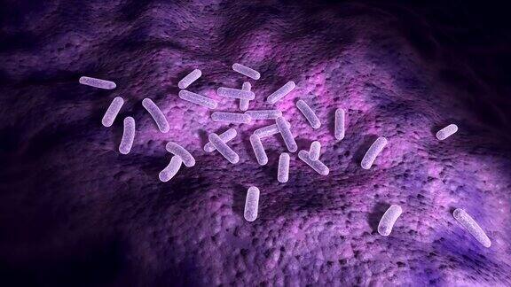 用摄像机随机放大和缩小细菌表面的微观3d动画