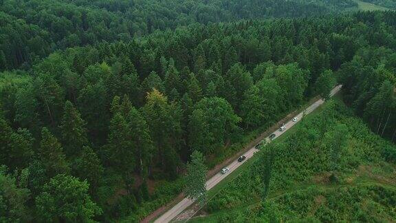一列汽车在茂密的森林中沿着高速公路行驶