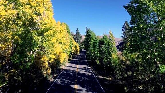 美丽的无人机拍摄沿着一条孤独的道路在加利福尼亚山区树木正在改变颜色