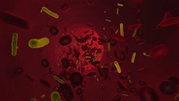 一种细菌血液流动维也纳微生物学