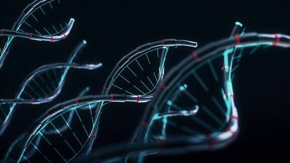 DNA细节
