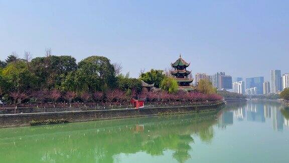 在中国四川成都望江楼亭子公园里潘跃过平静的锦江欣赏美丽的春景