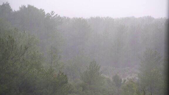 土耳其安塔利亚秋天的大雨从Konyaalti区松树林的窗口望去