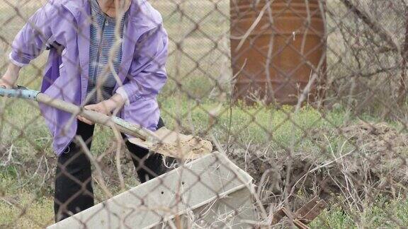 园艺师妇女用铲子挖土并倒进手推车