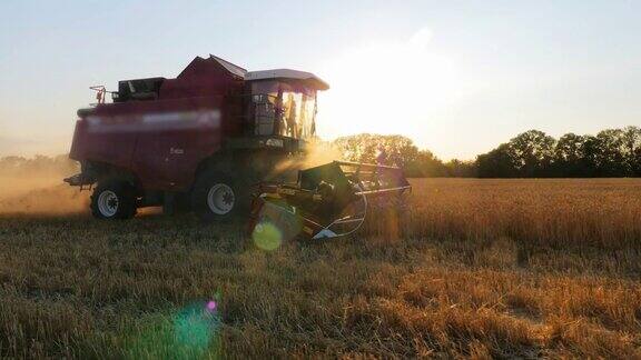 小麦收获概念联合收割机收割小麦夕阳下的农田里收割机正在收割金黄色的熟麦工业农业食品生产