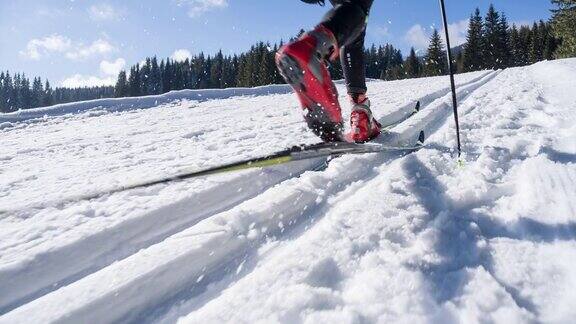 在一条平行的槽状滑雪跑道上的越野滑雪者
